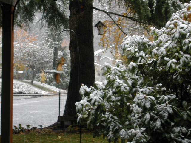Tigard, Nov 19, 2003